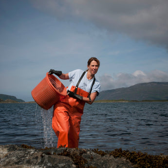 What makes seaweed a sustainable ingredient?