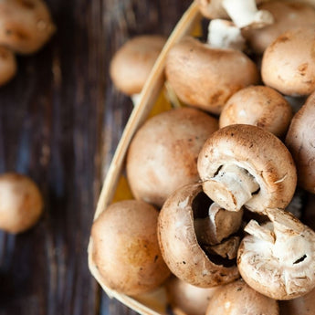 Mushrooms and Seaweed – The perfect umami combo