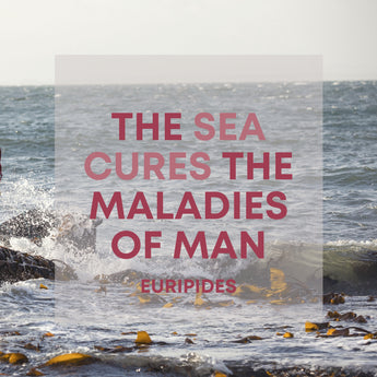 Top Nutrients in Seaweed for Male Virility