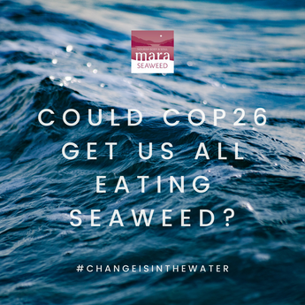 COULD COP 26 GET US ALL EATING SEAWEED?