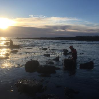 Sustainable Kelp Harvesting - This is How We Do It.