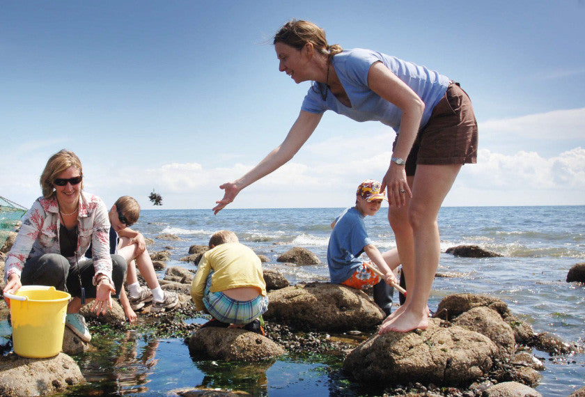 Mara co-founders Fiona Houston and Xa Milne foraging with their families