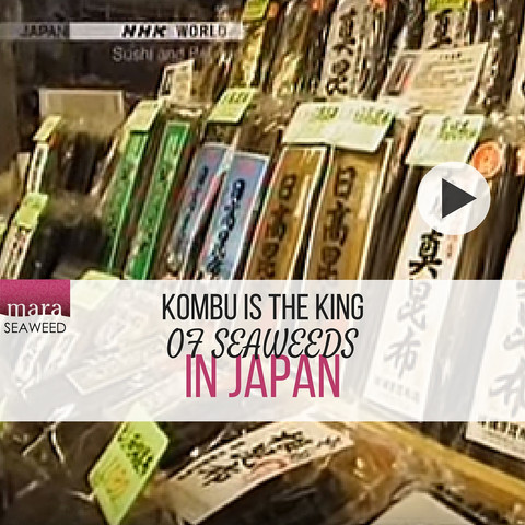 kombu culture in japan