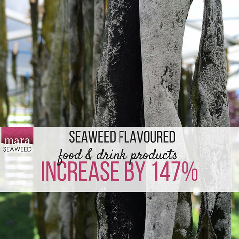 Seaweed flavoued food and drink products increase by 147%