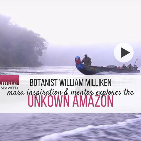 william milliken explores unknown amazon