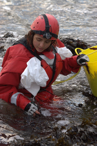 Female Mara Seaweed harvester