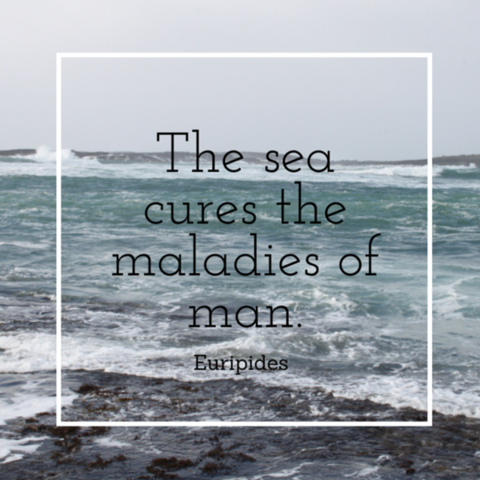 mara seaweed fertility 