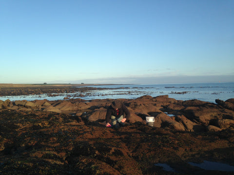 Fife beach